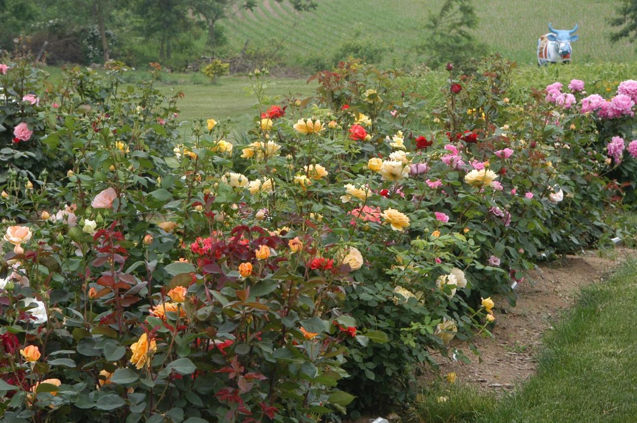 Annville Inn Bed & Breakfast المظهر الخارجي الصورة