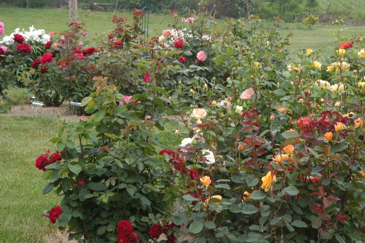 Annville Inn Bed & Breakfast المظهر الخارجي الصورة
